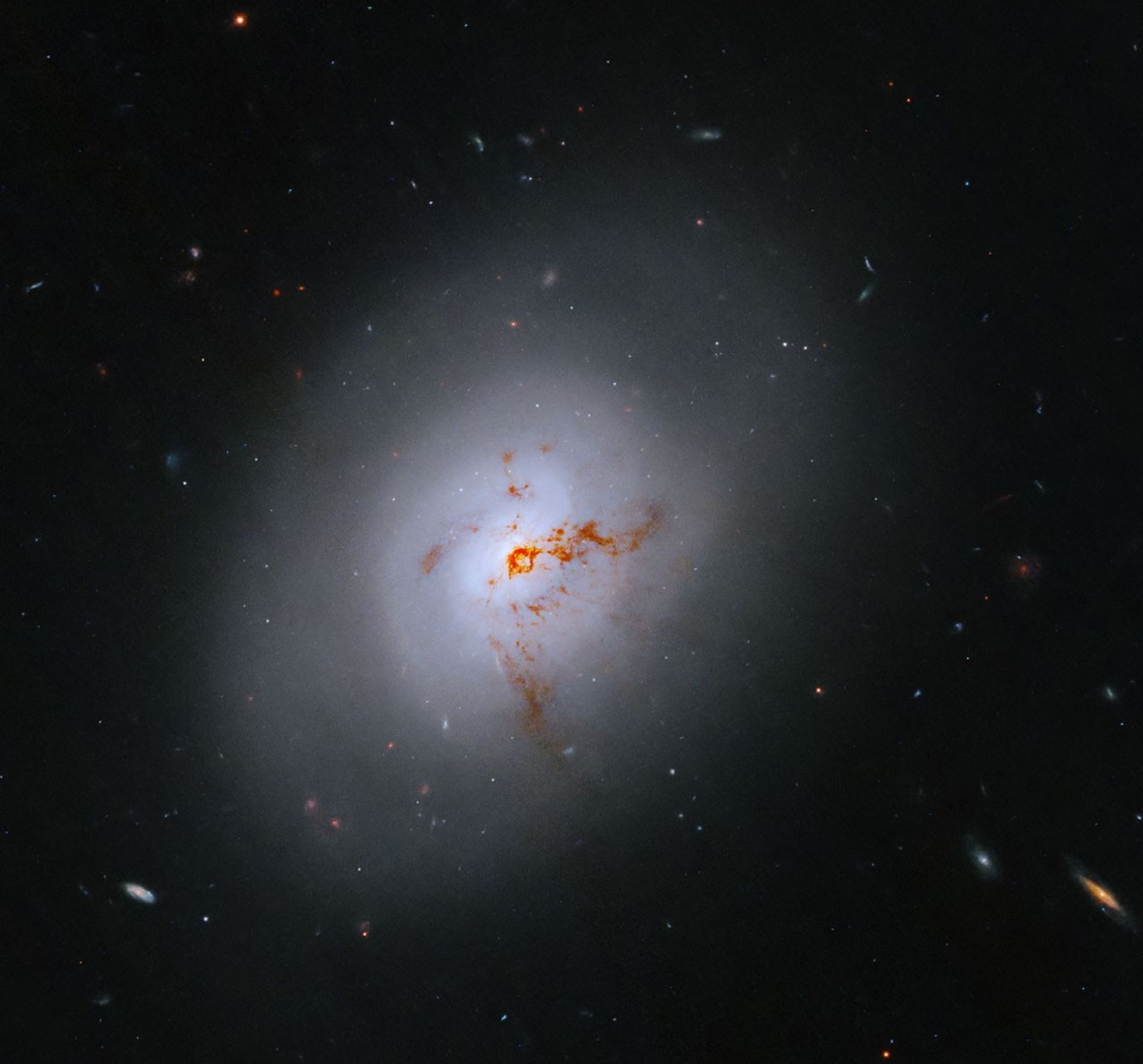 Hubble Observes A Rare Transitional Galaxy